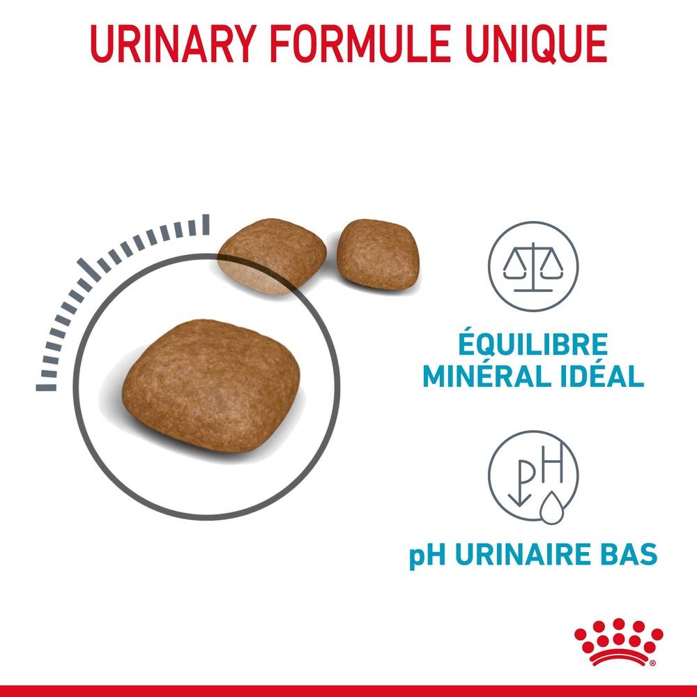 Royal Canin - Croquettes chat Adulte santé urinaire - ROYAL CANIN - Image 5