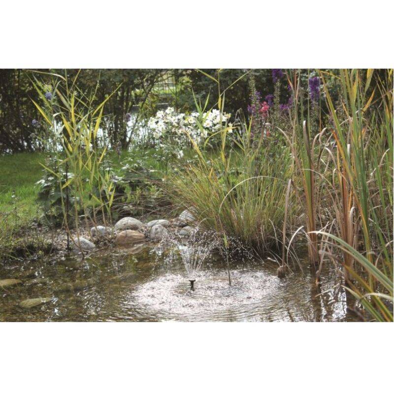 Set fontaine solaire PondoSolar 150 - PONTEC - Imagen 3