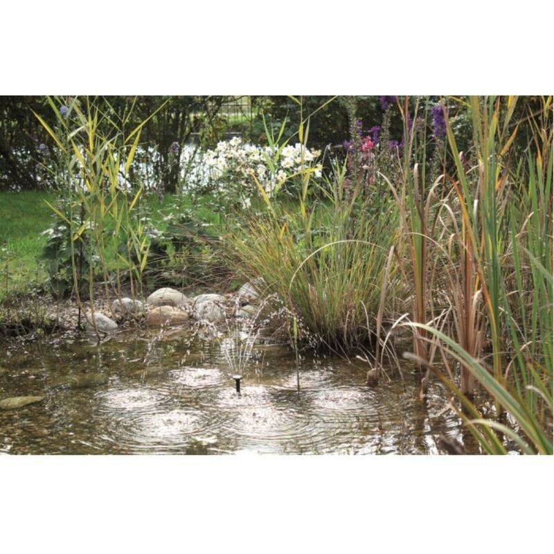 Set fontaine solaire PondoSolar 150 - PONTEC - Imagen 2