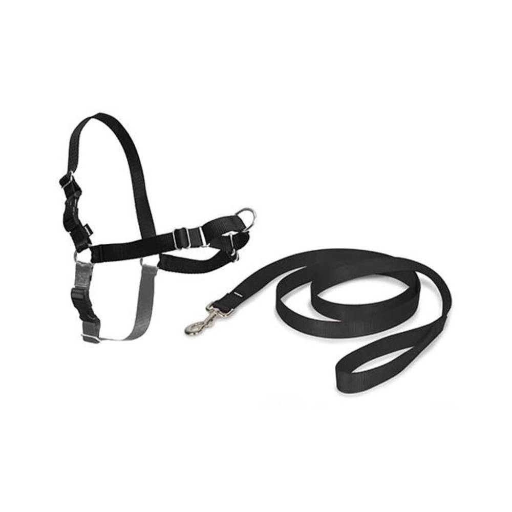 Petsafe - Harnais chien Easy Walk - PETSAFE - Image 3
