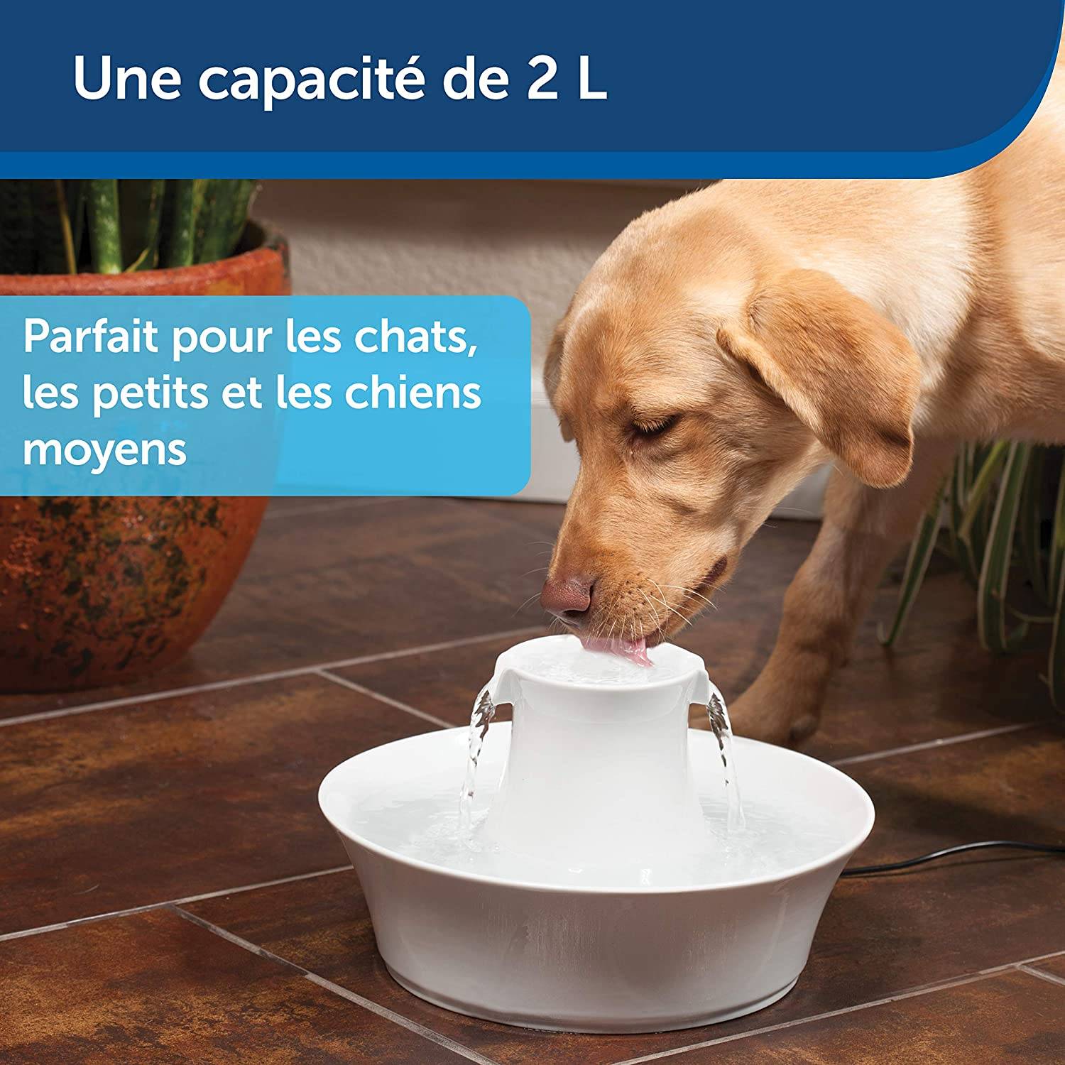 Petsafe - Petsafe - Fontaine Avalon céramique 2L Blanc Ø.30,99 x H.22 cm - Image 3