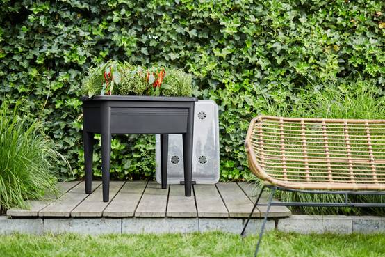 Elho - Green Basics table de culture XXL noire L.75 x l.36 x H.65 cm - Image 8