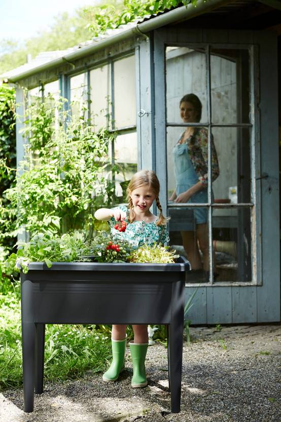 Elho - Green Basics table de culture XXL noire L.75 x l.36 x H.65 cm - Image 5