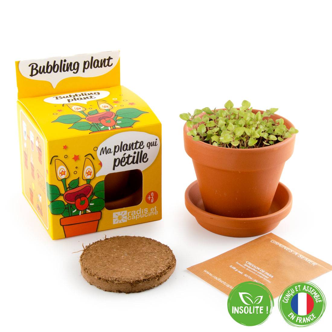 Kit Plante Qui Pétille - RADIS ET CAPUCINE - Image 1