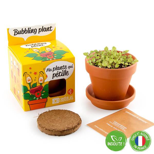 Kit Plante Qui Pétille - RADIS ET CAPUCINE - Image 4