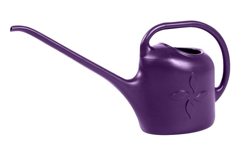 Minging Lot De 2 Arrosoirs Long Bec 1L – Acier Inoxydable & Plastique – Précision Arrosage Plantes Intérieur Extérieur
