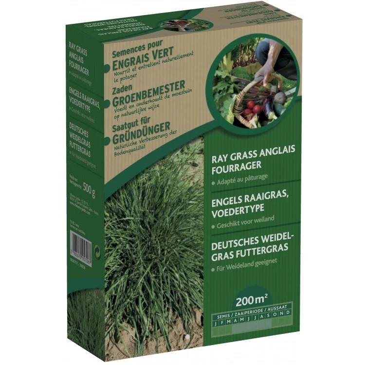 Engrais verts ray grass anglais 500 g - VILMORIN
