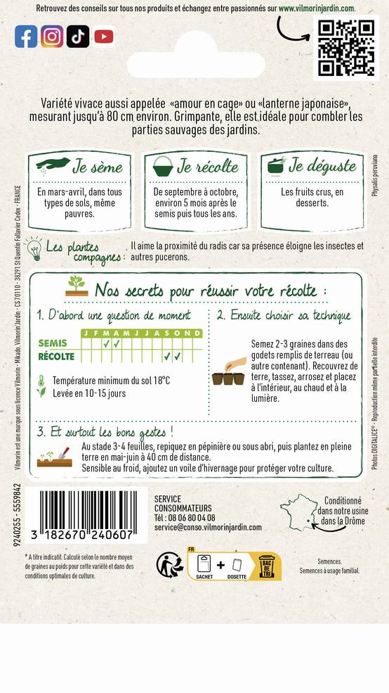 Vilmorin - Physalis Edulis coqueret du Pérou série 2 sachet graines 0,6 g - Vilmorin - Image 2