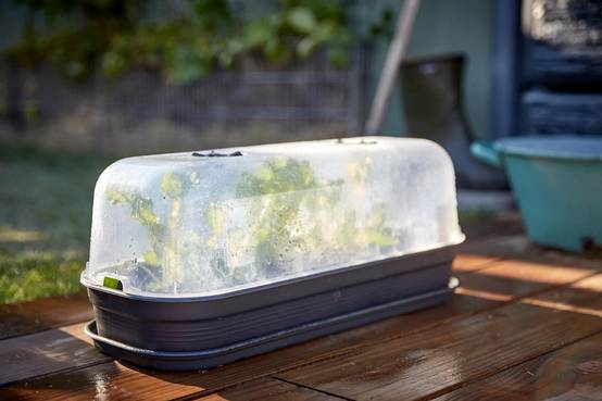 Elho - Plateau de Culture Green Basics Plastique Recyclé Noir L. 58,5 x l. 42,3 x H. 10,5 cm - ELHO - Image 3