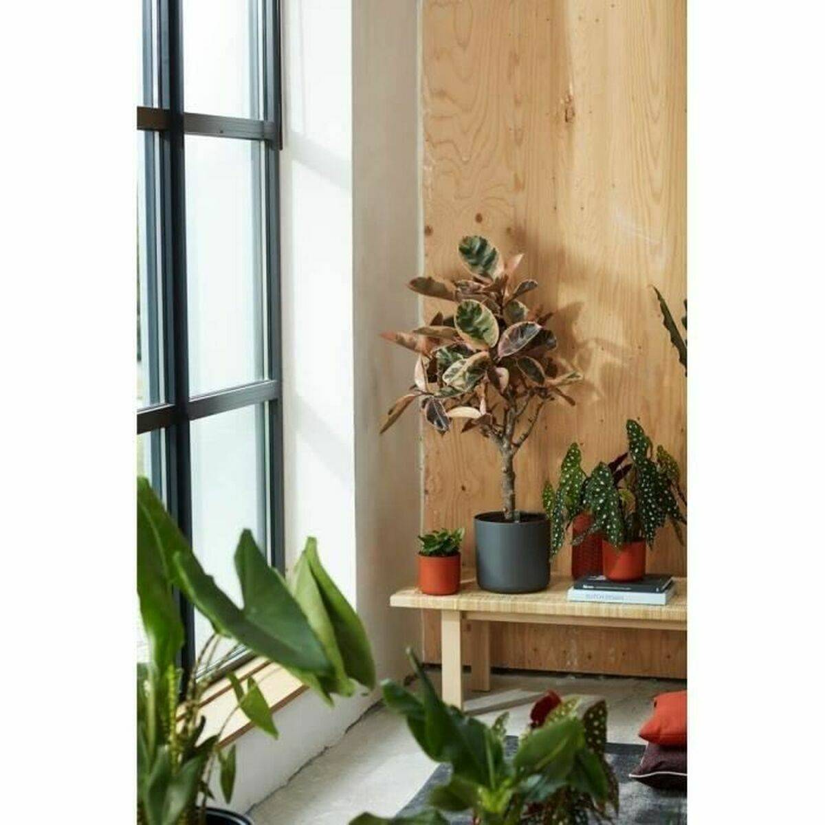Pot de fleurs rond en plastique noir Ø 25xH.23 cm - Elho