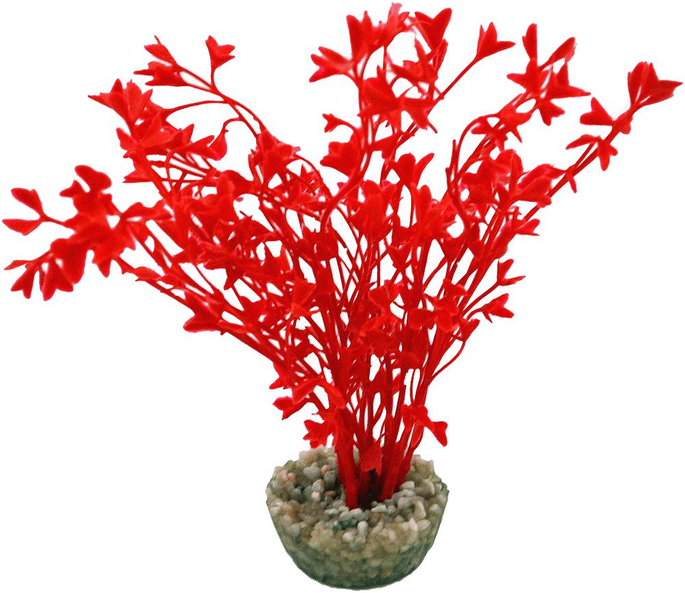 Labéo - Labéo - Décor Algue artificielle coloris assortis Ø.13 x H.14 cm - Imagen 3