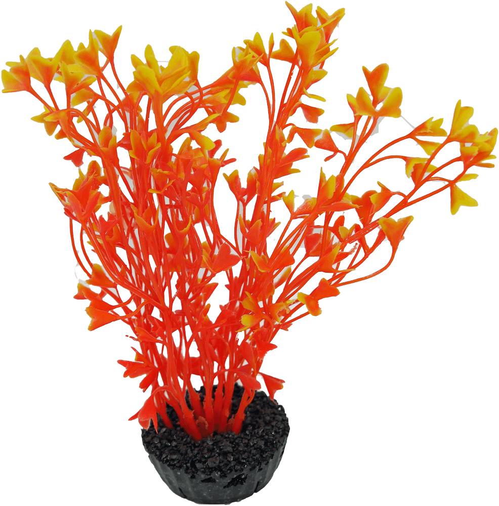 Labéo - Labéo - Décor Algue artificielle coloris assortis Ø.13 x H.14 cm - Imagen 6
