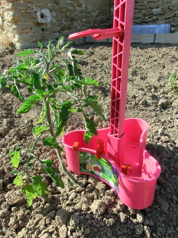 Pouss'vert - Réservoir 2L Pour Tuteur - Fuchsia - Imagen 2