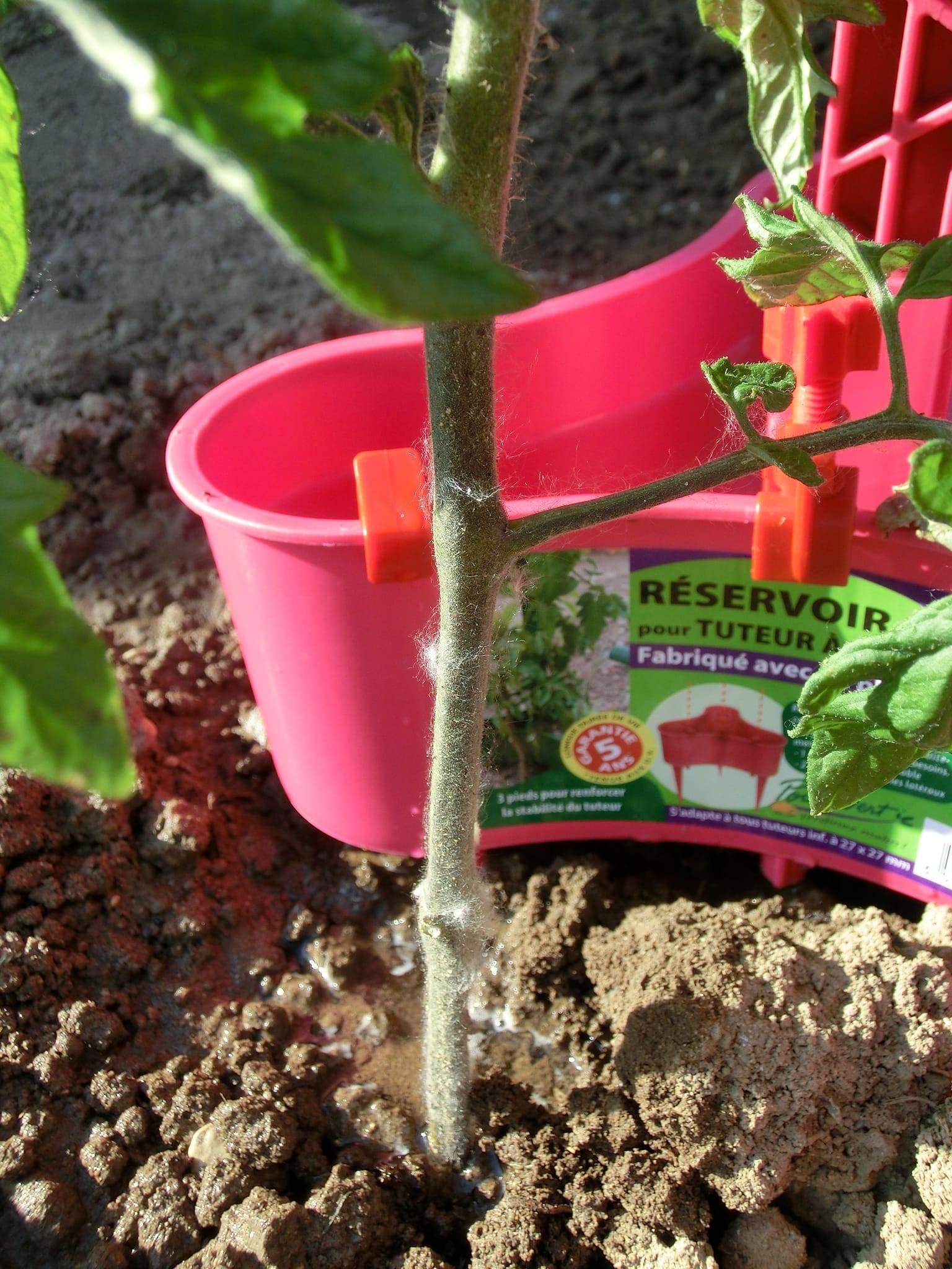 Pouss'vert - Réservoir 2L Pour Tuteur - Fuchsia - Imagen 3