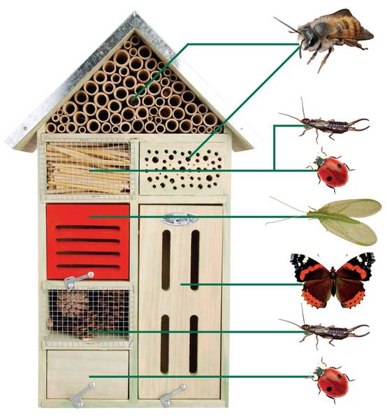 Hôtel à Insectes Grand Modèle - Image 2