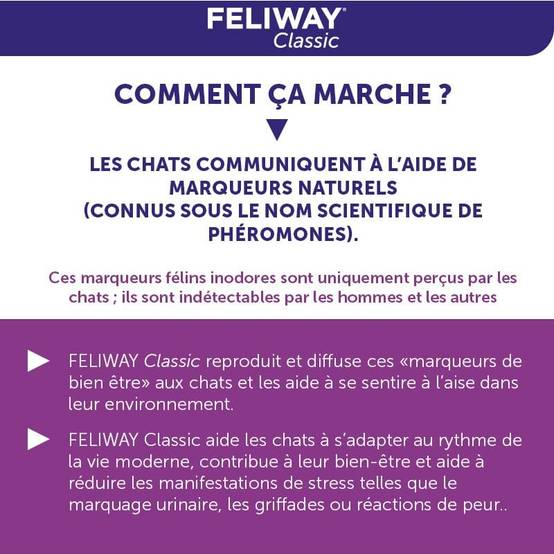 Spray Anti-Stress Chat – FELIWAY - Image 4