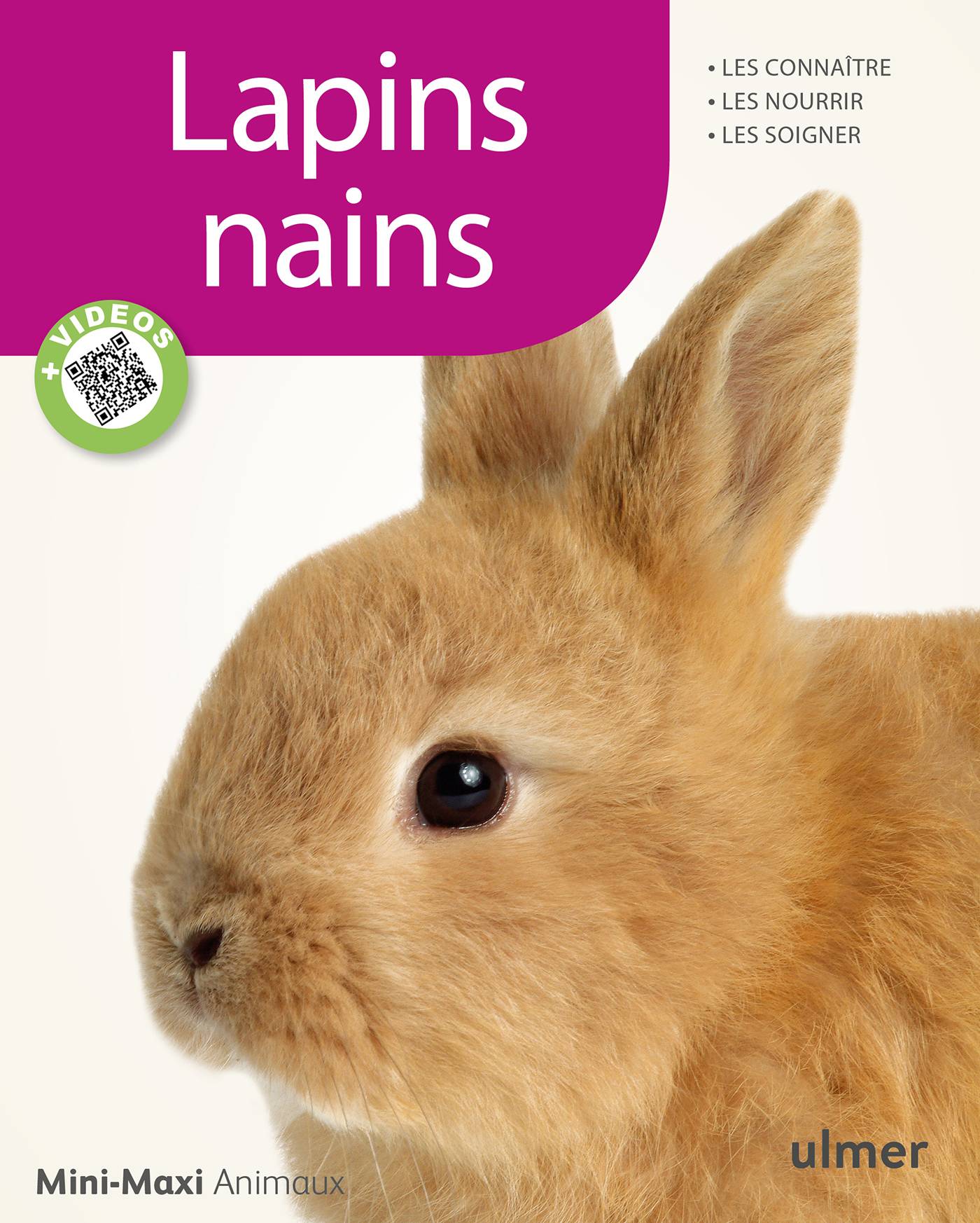 Ulmer - Lapins nains