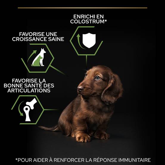 Purina Pro Plan - Croquettes petit chiot Poulet 3 kg - PRO PLAN - Image 2