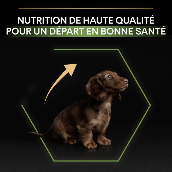 Purina Pro Plan - Croquettes petit chiot Poulet 3 kg - PRO PLAN - Image 7