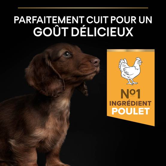 Purina Pro Plan - Croquettes petit chiot Poulet 3 kg - PRO PLAN - Image 13