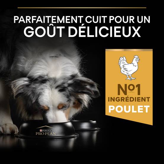Purina Pro Plan - Croquettes chien Adulte Medium Poulet 14 kg - PRO PLAN - Image 11