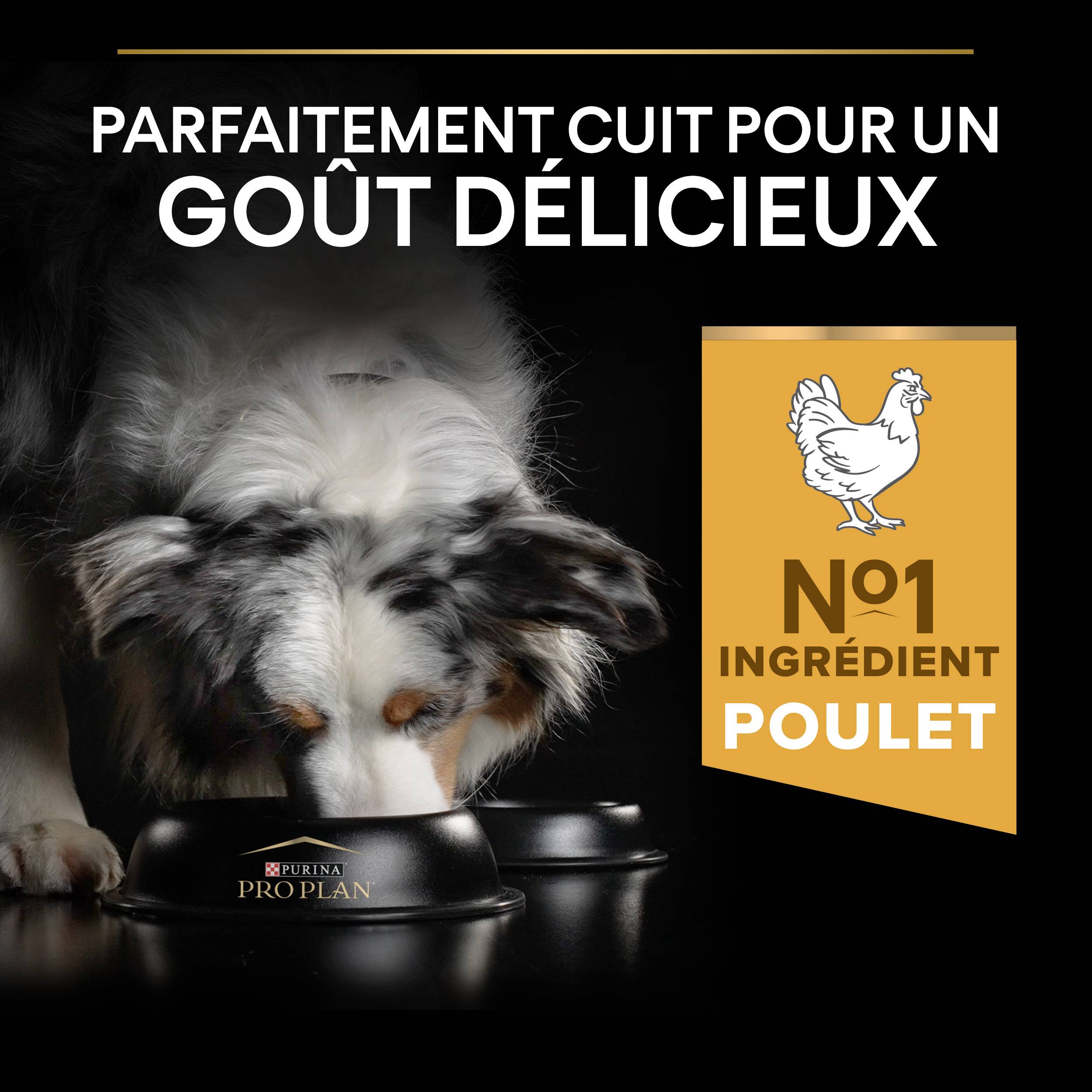 Purina Pro Plan - Croquettes chien Adulte Medium Poulet 14 kg - PRO PLAN - Image 11