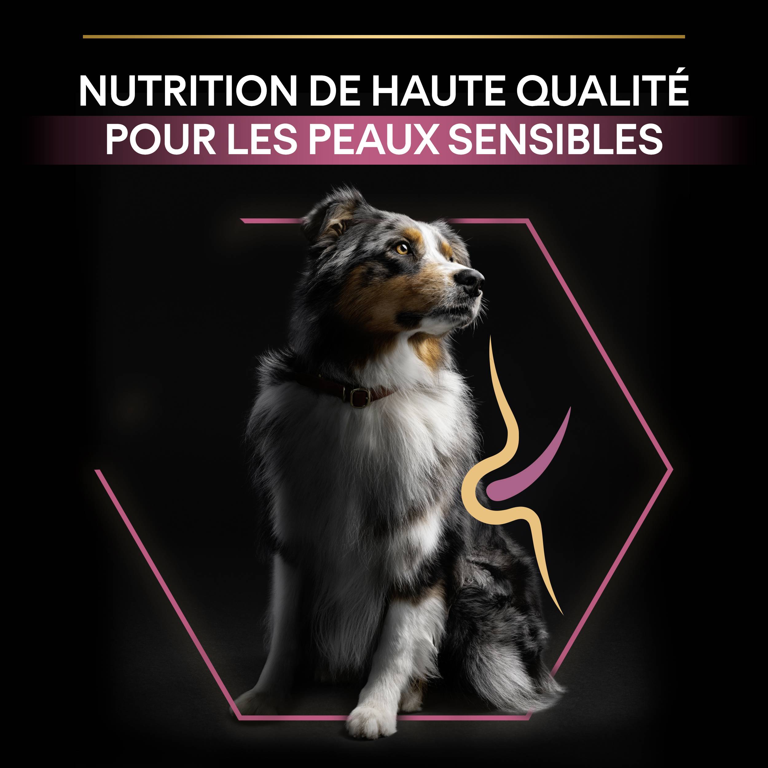 Purina Pro Plan - Croquettes chien Adulte Sensitive Skin 14kg – PRO PLAN - Imagen 2