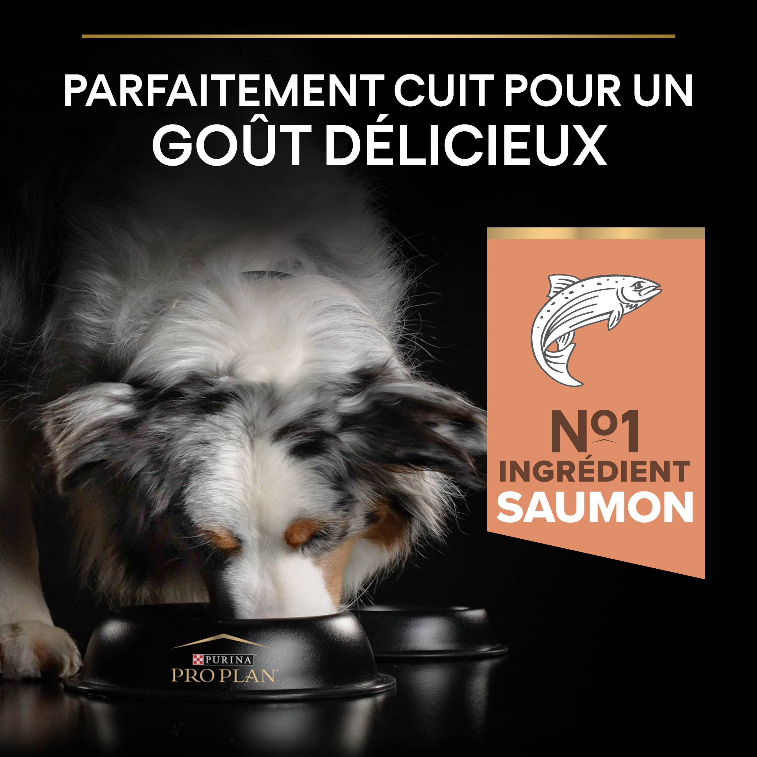 Purina Pro Plan - Croquettes chien Adulte Sensitive Skin 14kg – PRO PLAN - Imagen 10