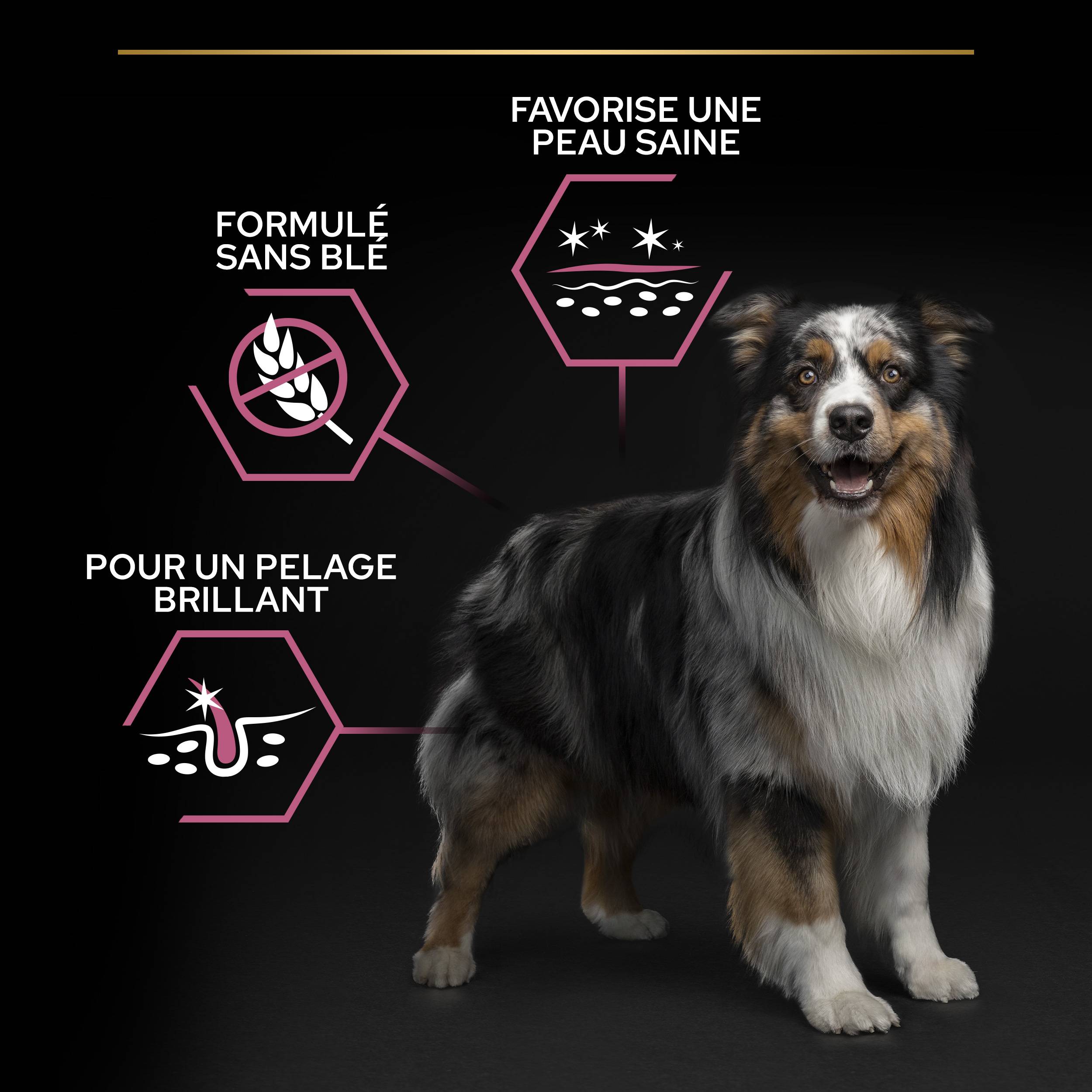 Purina Pro Plan - Croquettes chien Adulte Sensitive Skin 14kg – PRO PLAN - Imagen 11