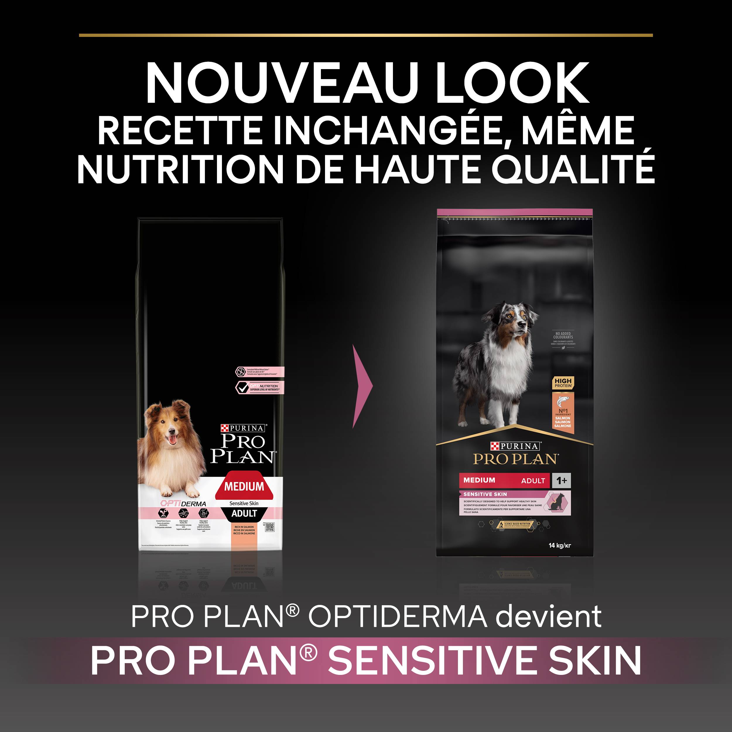 Purina Pro Plan - Croquettes chien Adulte Sensitive Skin 14kg – PRO PLAN - Imagen 4