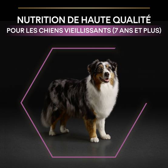 Purina Pro Plan - Croquettes chien Medium Adulte 7+ Poulet 14 kg - PRO PLAN - Image 10