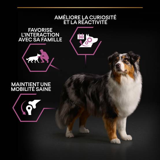 Purina Pro Plan - Croquettes chien Adulte 7+ Medium Poulet 3 kg - PRO PLAN - Image 2