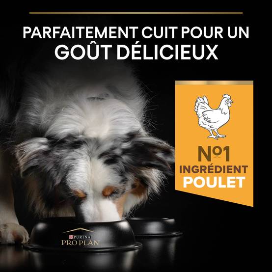 Purina Pro Plan - Croquettes chien Adulte 7+ Medium Poulet 3 kg - PRO PLAN - Image 5