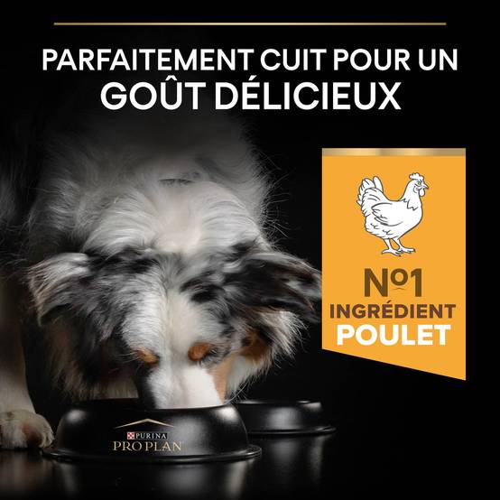 Purina Pro Plan - Croquettes chien Adulte 7+ Medium Poulet 3 kg - PRO PLAN - Image 13