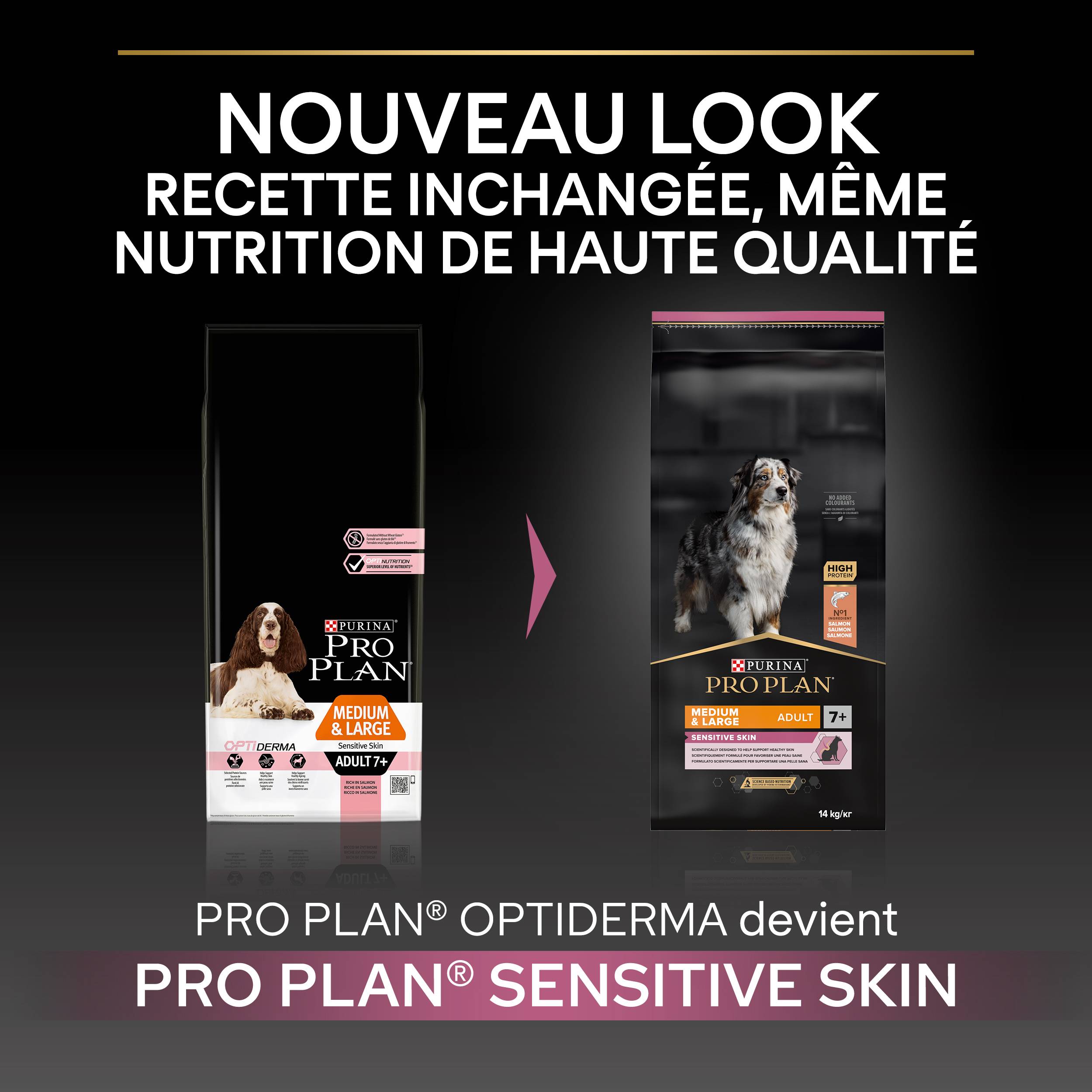 Purina Pro Plan - Croquettes chien Medium Adulte 7+ Sensitive Skin Saumon 14 kg - PRO PLAN - Image 6