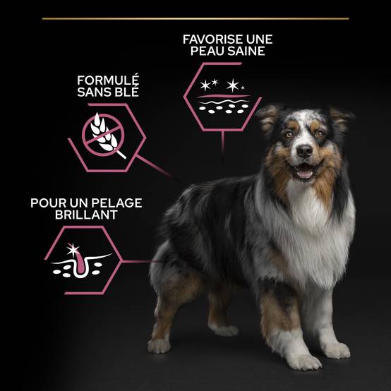 Purina Pro Plan - Croquettes chien Medium Adulte 7+ Sensitive Skin Saumon 14 kg - PRO PLAN - Image 4