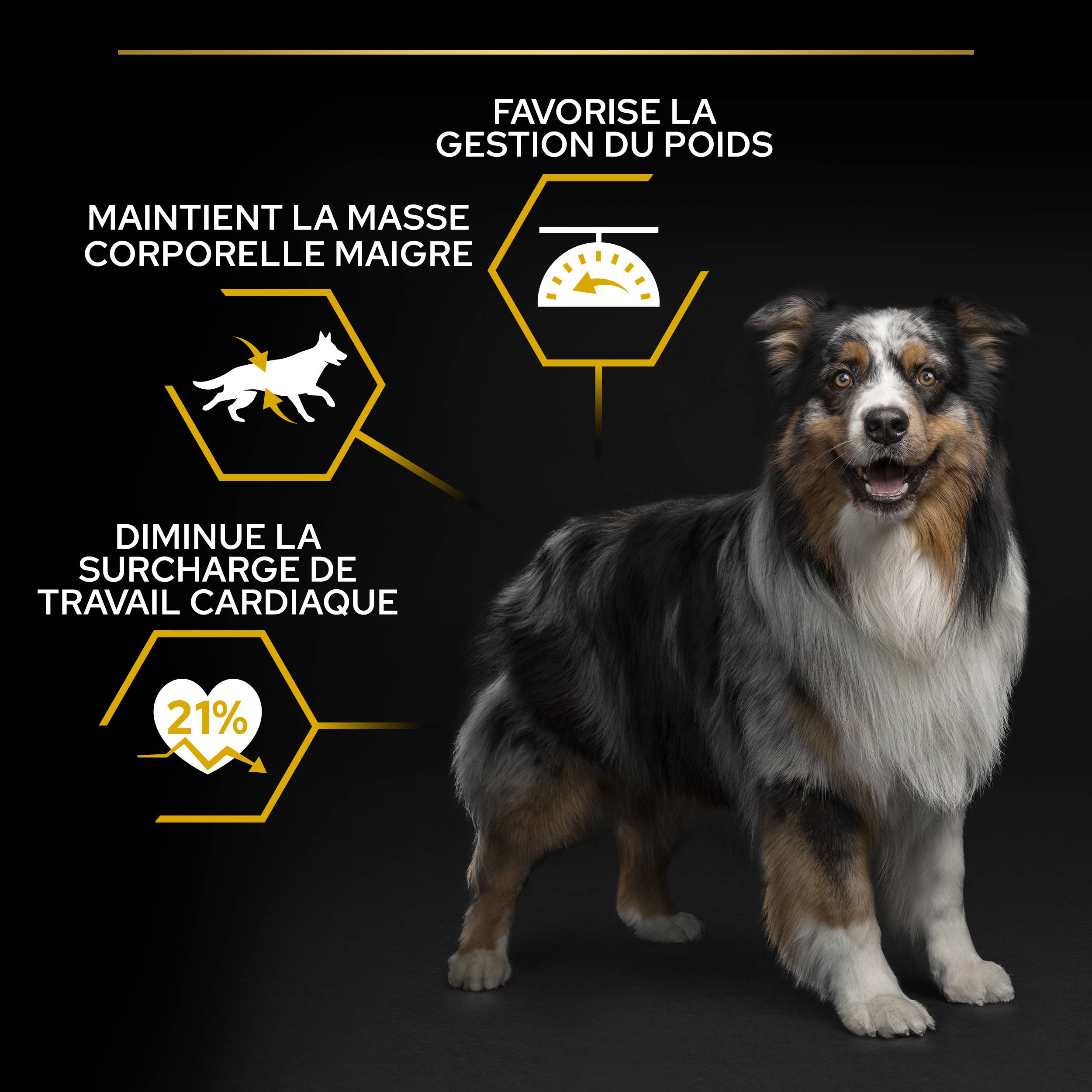 Purina Pro Plan - Croquettes chien Adulte Light Stérilisé Poulet 14 kg - PRO PLAN - Image 2