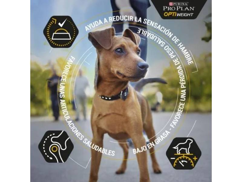 Purina Pro Plan - Croquettes chien Adulte Light Stérilisé Poulet 14 kg - PRO PLAN - Image 9