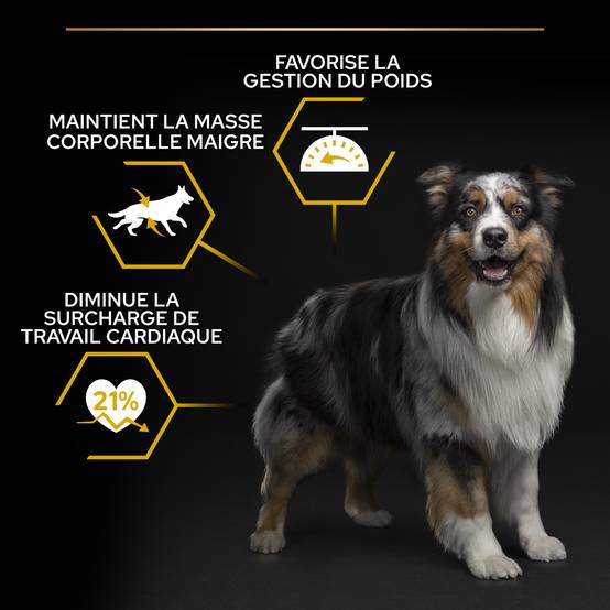 Purina Pro Plan - Croquettes chien Adulte Light Stérilisé Poulet 3 kg - PRO PLAN - Image 3