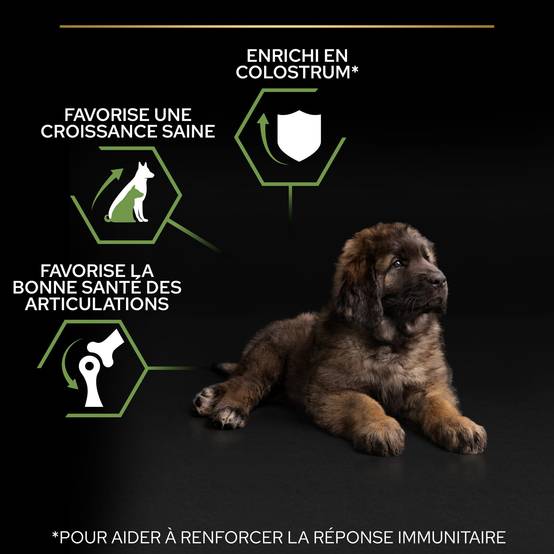 Purina Pro Plan - Croquettes chiot Large Robust Poulet 12 kg – PRO PLAN - Image 10