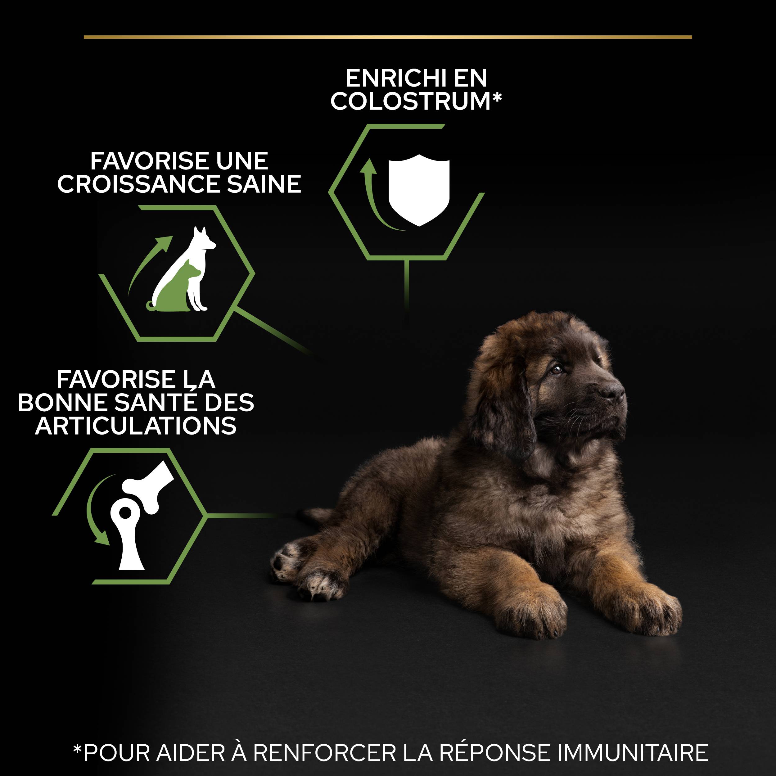 Purina Pro Plan - Croquettes chiot Large Robust Poulet 12 kg – PRO PLAN - Image 10
