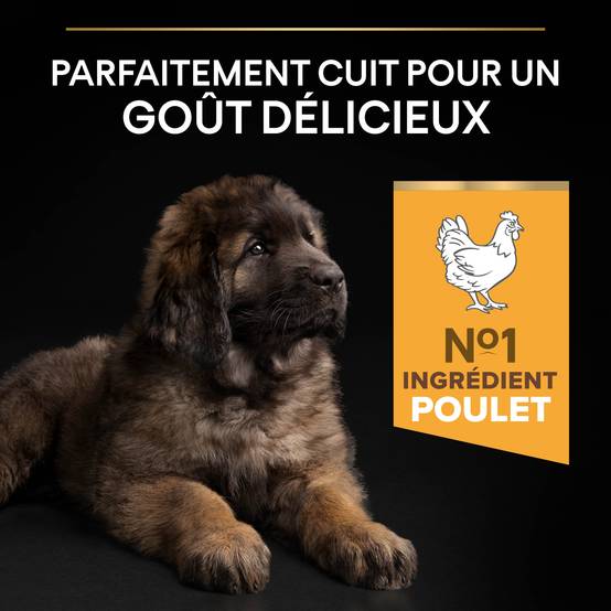 Purina Pro Plan - Croquettes chiot Large Robust Poulet 12 kg – PRO PLAN - Image 18