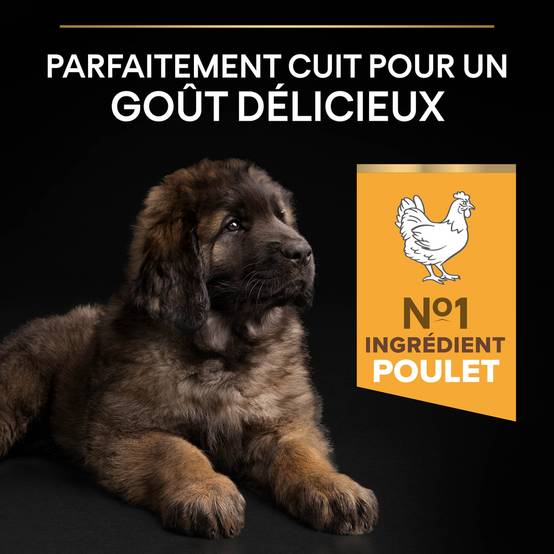 Purina Pro Plan - Croquettes chiot Large Robust Poulet 12 kg – PRO PLAN - Image 16