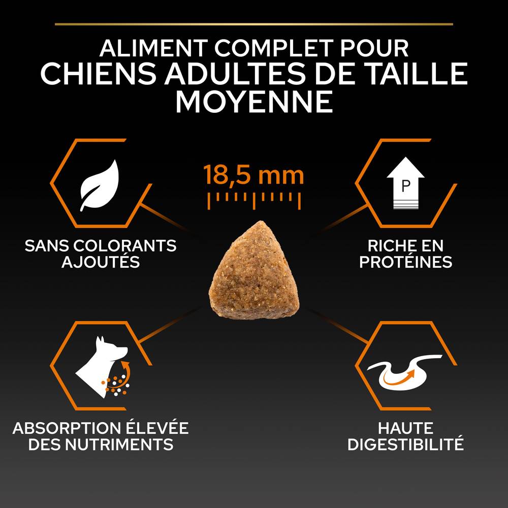Purina Pro Plan - Croquettes Chien Large Athletique poulet 14 kg - PRO PLAN - Imagen 15