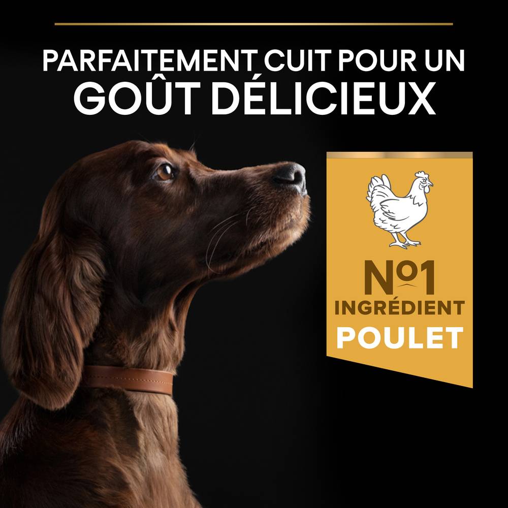 Purina Pro Plan - Croquettes chien Large Adulte Athletic 14 kg + 2 kg offerts - PRO PLAN - Image 14