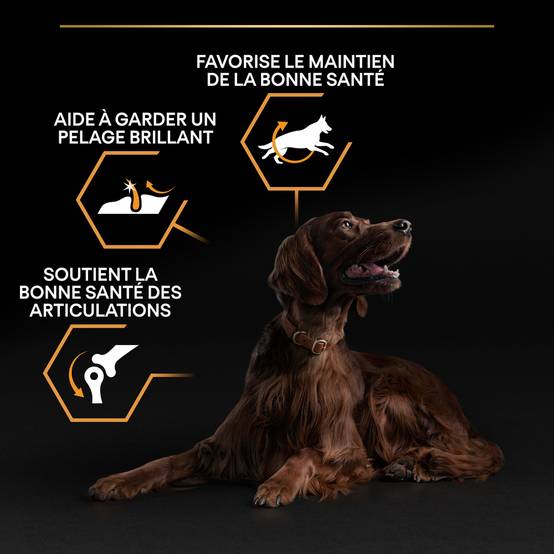 Purina Pro Plan - Croquettes chien Large Adulte Athletic 14 kg + 2 kg offerts - PRO PLAN - Image 3