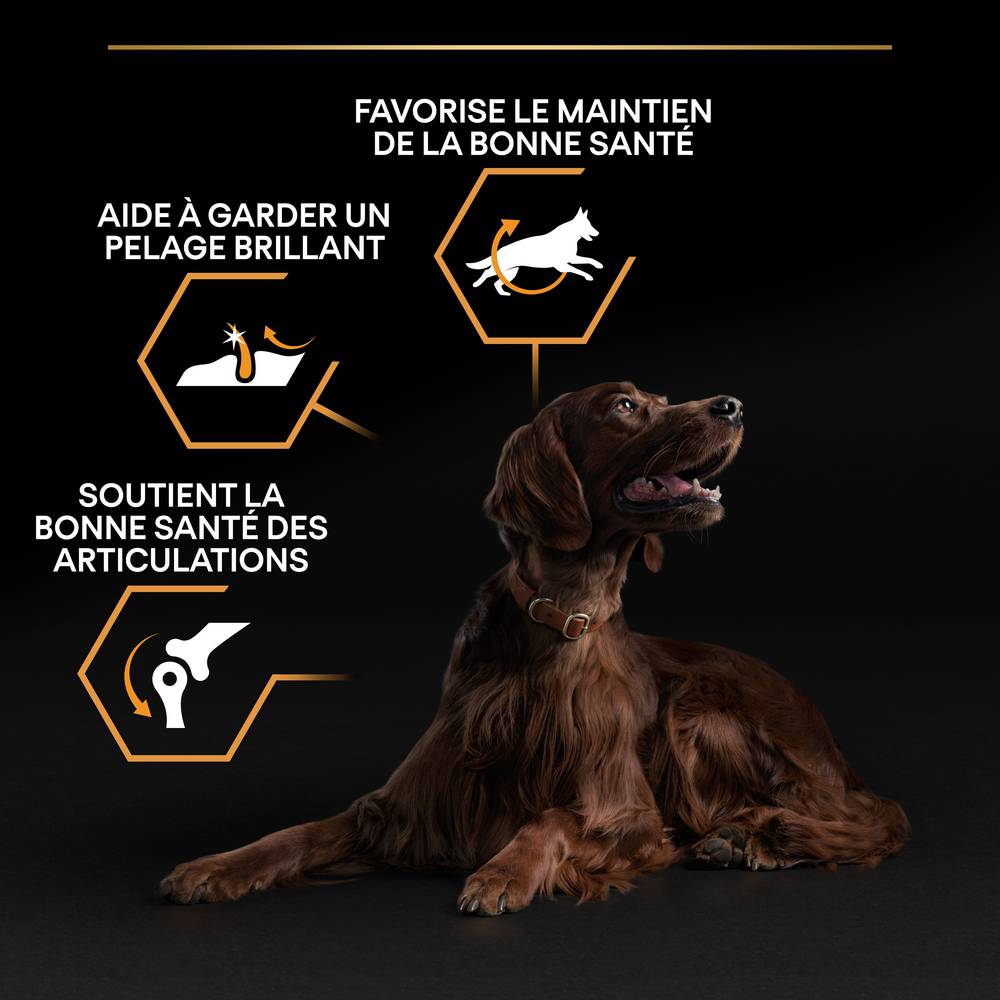 Purina Pro Plan - Croquettes chien Large Adulte Athletic 14 kg + 2 kg offerts - PRO PLAN - Image 3