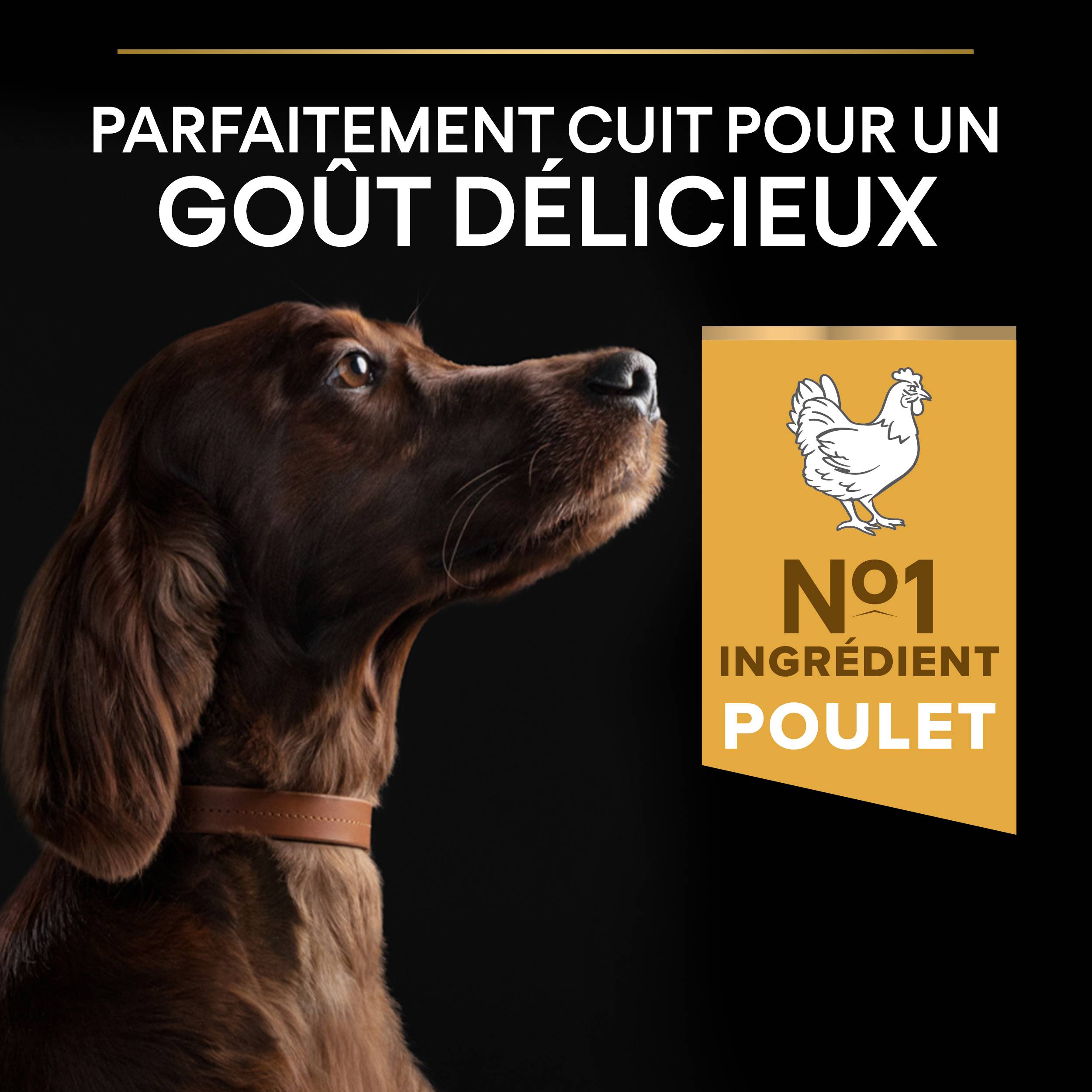 Purina Pro Plan - Croquettes chien Large Adulte Athletic 14 kg + 2 kg offerts - PRO PLAN - Image 7