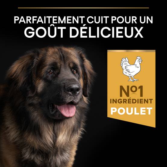 Purina Pro Plan - Croquettes chien Adulte Large Robuste poulet 14 kg - PRO PLAN - Image 4