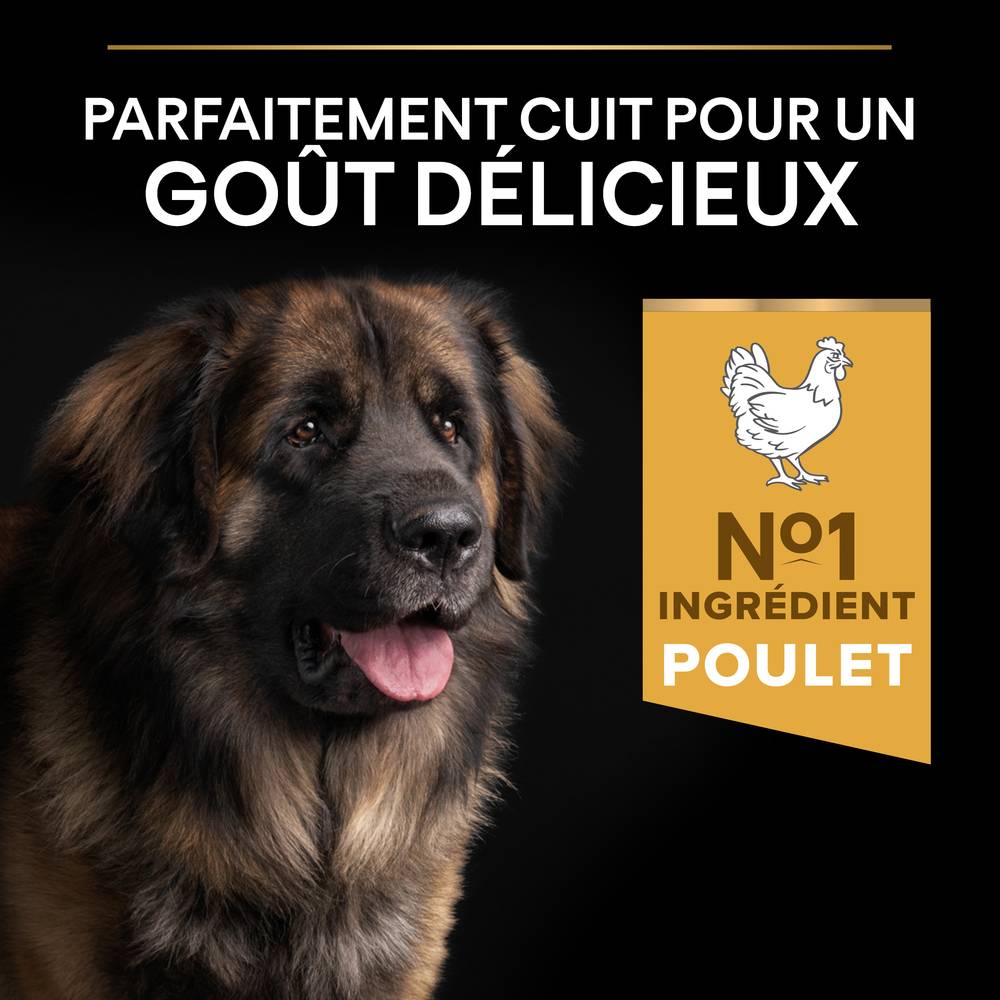 Purina Pro Plan - Croquettes chien Adulte Large Robust OptiBalance 14KG + 2,5KG gratuits - PRO PLAN - Image 7